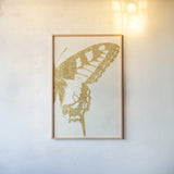 Butterfly Wings II by Wild Apple Portfolio. shown as a paper print in a natural frame. Available as a archival giclee rolled canvas, fine art paper, or poster print. SKU 74515h.