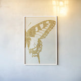 Butterfly Wings II by Wild Apple Portfolio. shown as a paper print in a white frame. Available as a archival giclee rolled canvas, fine art paper, or poster print. SKU 74515h.