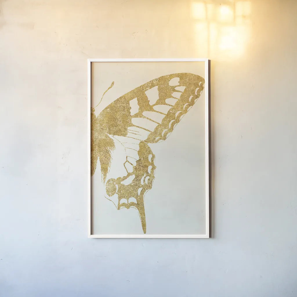 Butterfly Wings II by Wild Apple Portfolio. shown as a paper print in a white frame. Available as a archival giclee rolled canvas, fine art paper, or poster print. SKU 74515h.