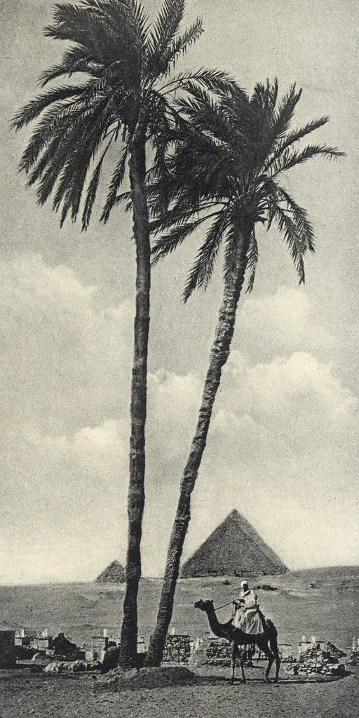 Cairo IV Crop by Wild Apple Portfolio