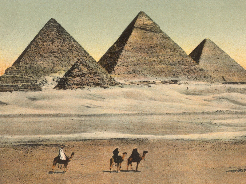 Cairo Pyramids Crop by Wild Apple Portfolio