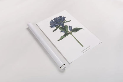 Campanula Bright by Wild Apple Portfolio. shown as a rolled paper print. Available as archival giclee rolled canvas, fine art paper, or poster print. SKU 45388h.