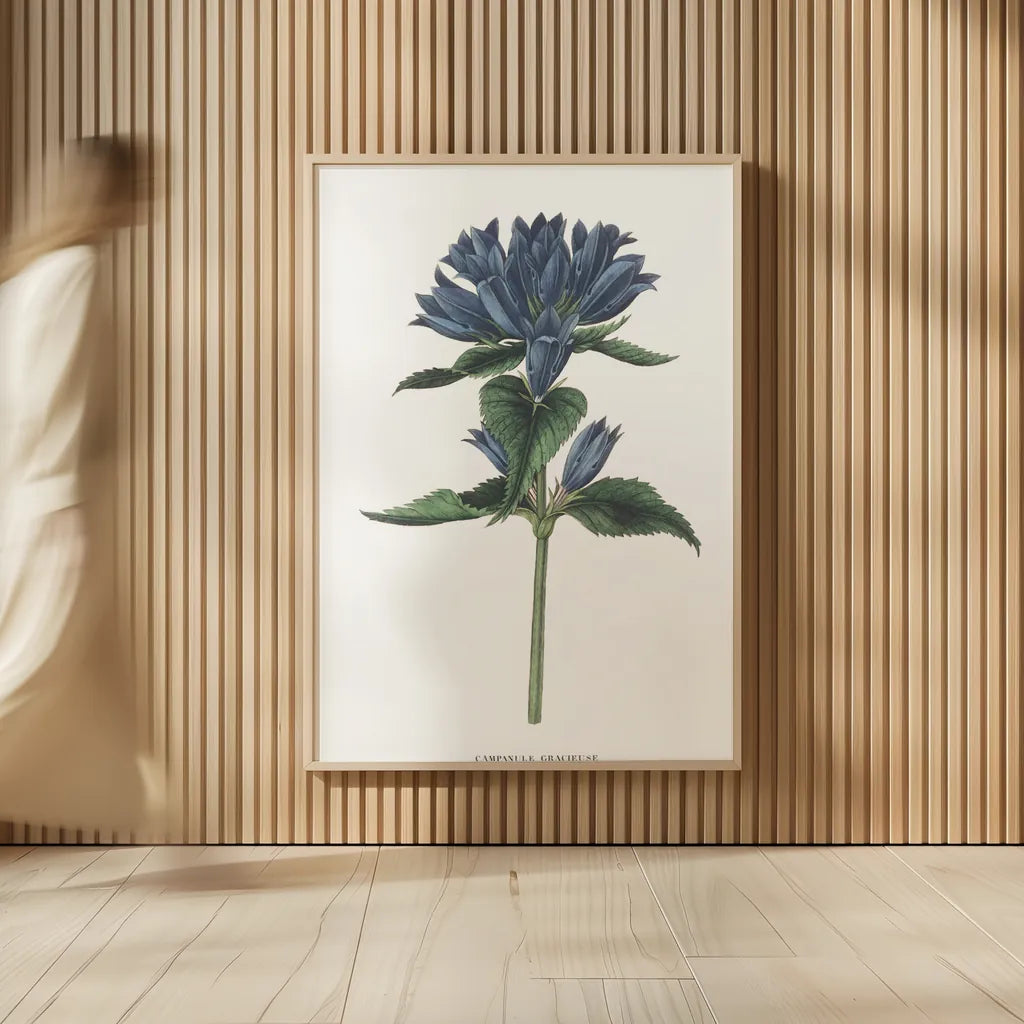 Campanula Bright by Wild Apple Portfolio. shown as over sized large wall art. Available as an archival giclee rolled canvas, fine art paper, or poster print. SKU 45388h.