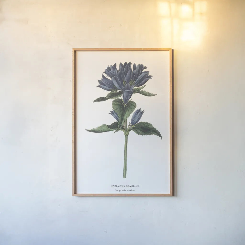 Campanula Bright by Wild Apple Portfolio. shown as a paper print in a natural frame. Available as a archival giclee rolled canvas, fine art paper, or poster print. SKU 45388h.