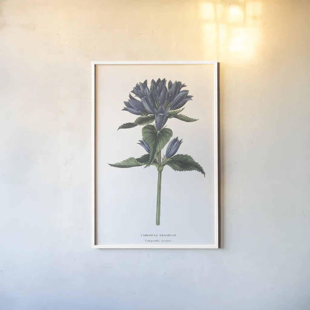 Campanula Bright by Wild Apple Portfolio. shown as a paper print in a white frame. Available as a archival giclee rolled canvas, fine art paper, or poster print. SKU 45388h.