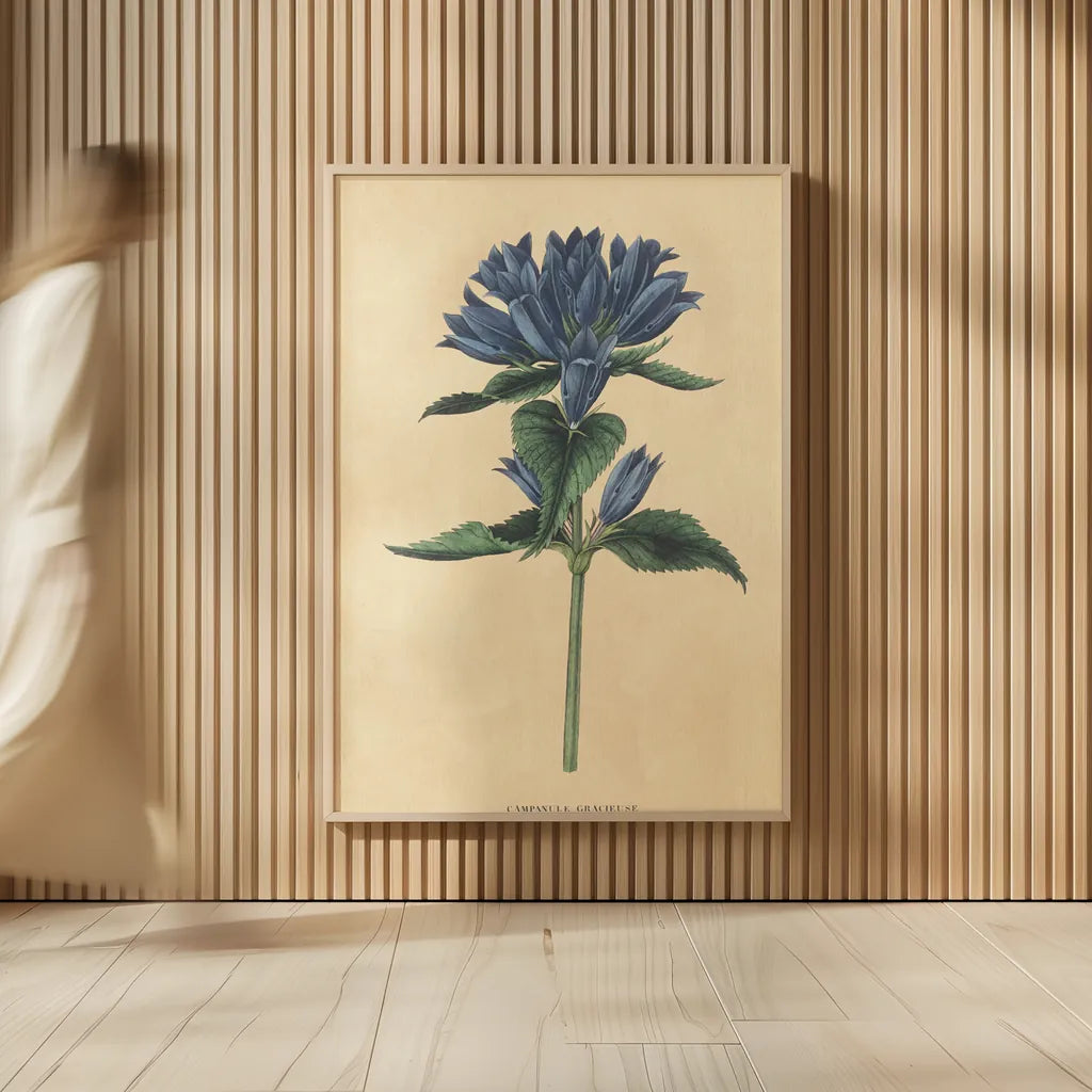 Campanula Vintage by Wild Apple Portfolio. shown as over sized large wall art. Available as an archival giclee rolled canvas, fine art paper, or poster print. SKU 45390h.
