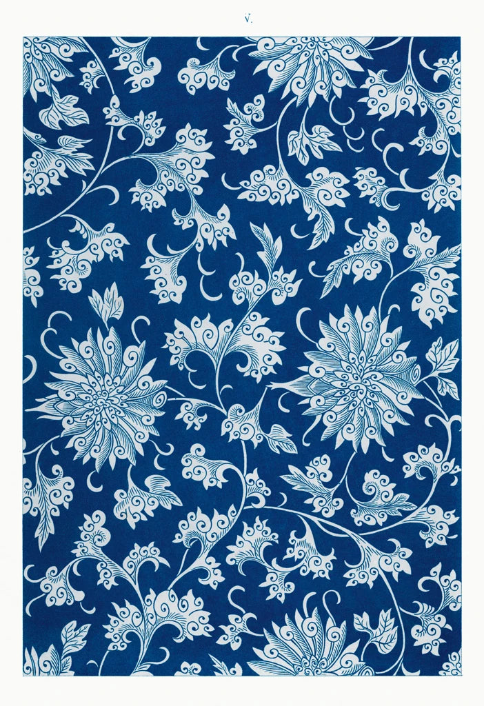 Chinese Flower Illustration II by Wild Apple Portfolio