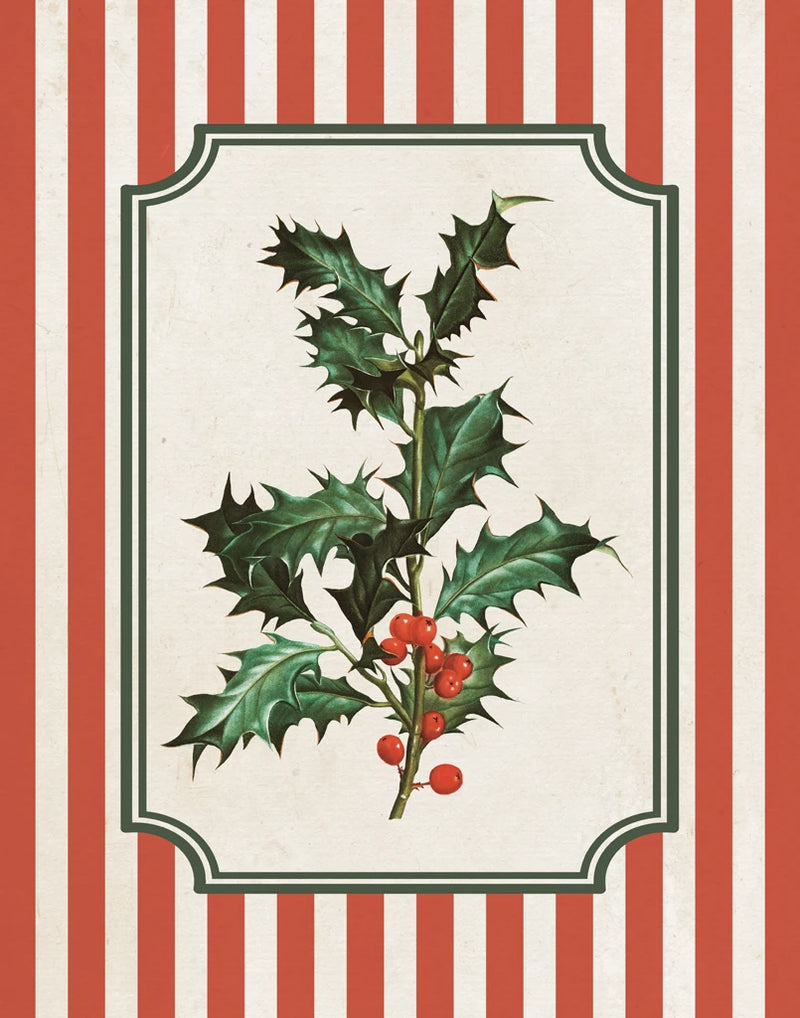 Christmas Vintage Botanical I by Wild Apple Portfolio