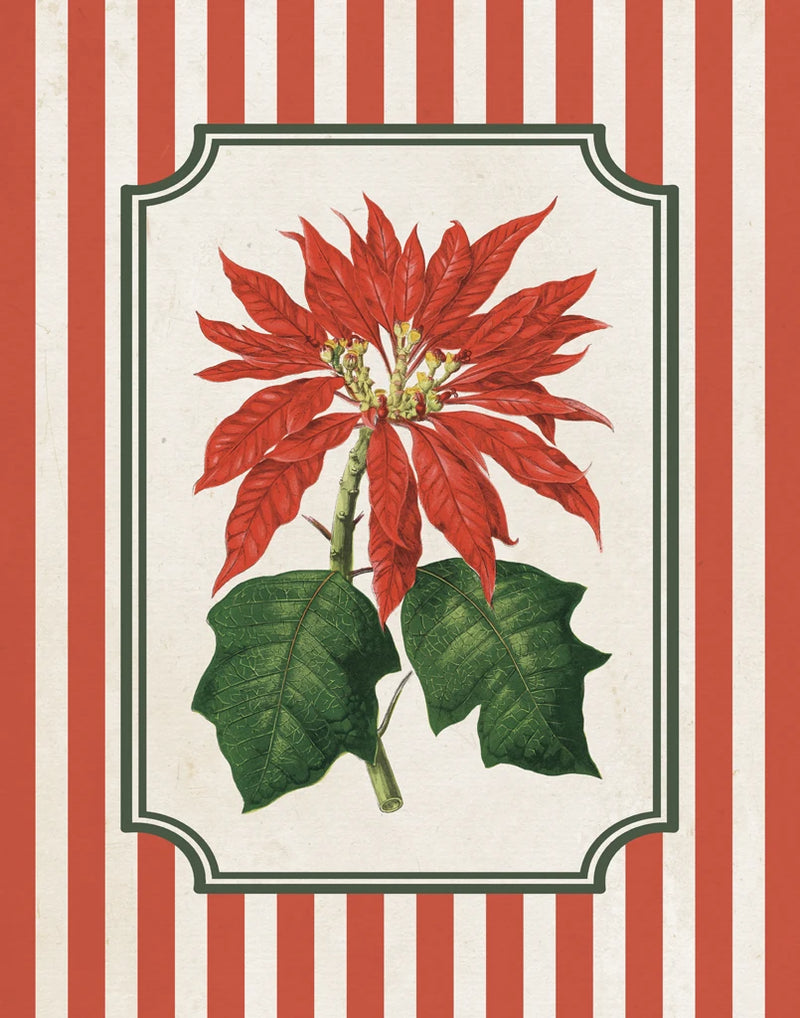 Christmas Vintage Botanical II by Wild Apple Portfolio