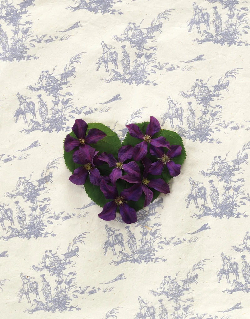 Clematis Heart by Wild Apple Portfolio