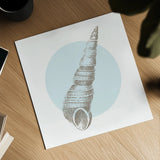 Conchology Sketches I by Wild Apple Portfolio. Shown as a detailed flat fine art print, highlighting archival giclee quality. Available as an archival giclee rolled canvas, fine art paper, or poster print. SKU 45977a.