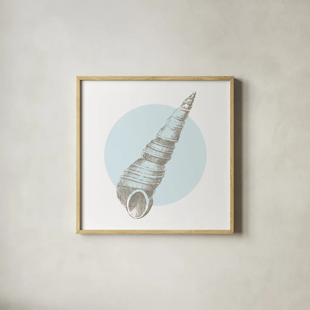 Conchology Sketches I by Wild Apple Portfolio. Shown in a natural wood glass frame for a timeless modern aesthetic. Available as an archival giclee rolled canvas, fine art paper, or poster print. SKU 45977a.