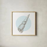 Conchology Sketches I by Wild Apple Portfolio. Shown in a natural wood glass frame for a timeless modern aesthetic. Available as an archival giclee rolled canvas, fine art paper, or poster print. SKU 45977a.
