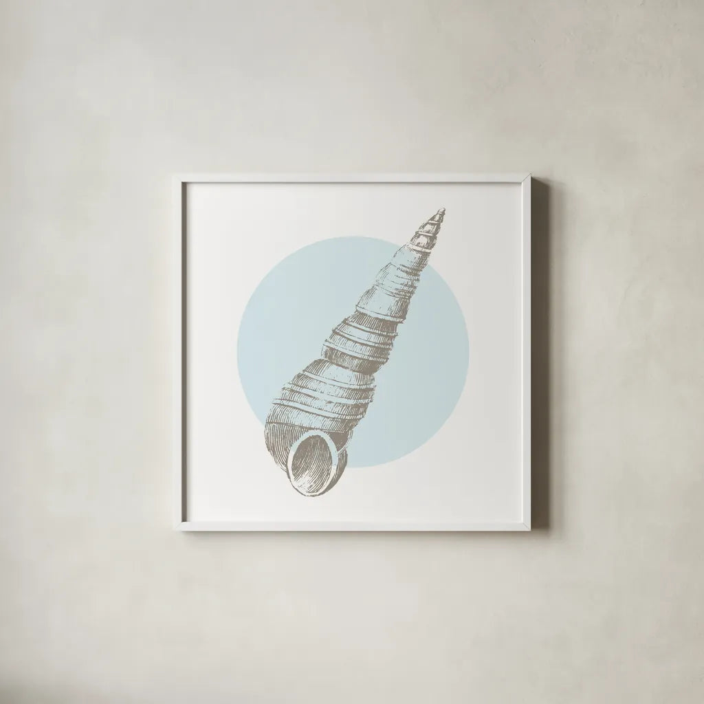 Conchology Sketches I by Wild Apple Portfolio. Shown in a crisp white glass frame for a clean and minimalist style. Available as an archival giclee rolled canvas, fine art paper, or poster print. SKU 45977a.