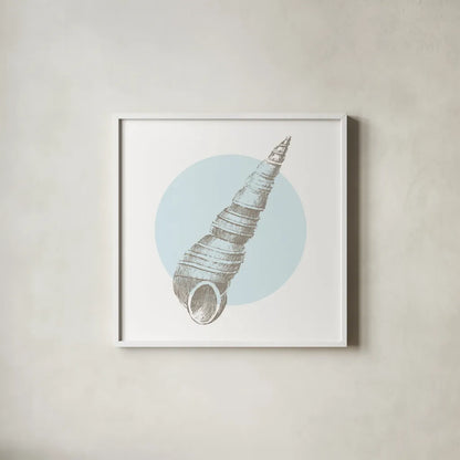 Conchology Sketches I by Wild Apple Portfolio. Shown in a crisp white glass frame for a clean and minimalist style. Available as an archival giclee rolled canvas, fine art paper, or poster print. SKU 45977a.