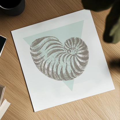 Conchology Sketches II by Wild Apple Portfolio. Shown as a detailed flat fine art print, highlighting archival giclee quality. Available as an archival giclee rolled canvas, fine art paper, or poster print. SKU 45978a.