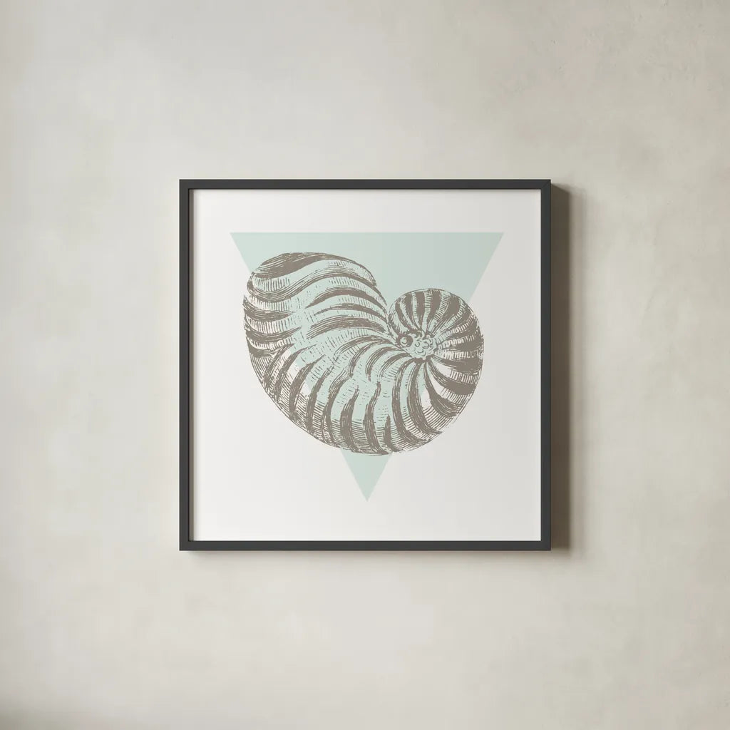 Conchology Sketches II by Wild Apple Portfolio. Shown in a sleek black glass frame for a contemporary gallery look. Available as an archival giclee rolled canvas, fine art paper, or poster print. SKU 45978a.