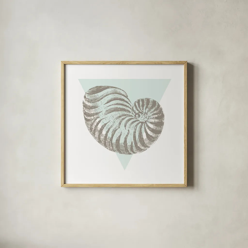 Conchology Sketches II by Wild Apple Portfolio. Shown in a natural wood glass frame for a timeless modern aesthetic. Available as an archival giclee rolled canvas, fine art paper, or poster print. SKU 45978a.