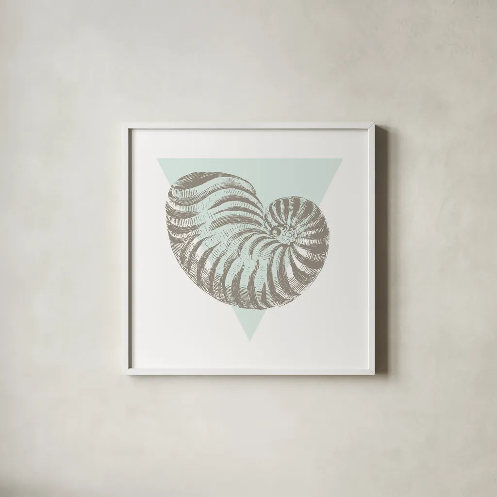 Conchology Sketches II by Wild Apple Portfolio. Shown in a crisp white glass frame for a clean and minimalist style. Available as an archival giclee rolled canvas, fine art paper, or poster print. SKU 45978a.