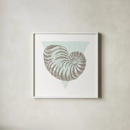 Conchology Sketches II by Wild Apple Portfolio. Shown in a crisp white glass frame for a clean and minimalist style. Available as an archival giclee rolled canvas, fine art paper, or poster print. SKU 45978a.