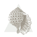 Conchology Sketches III by Wild Apple Portfolio. SKU 45979a. Archival Giclee Fine art print for wall decor.