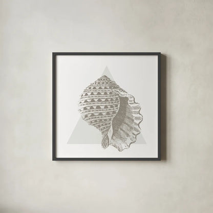 Conchology Sketches III by Wild Apple Portfolio. Shown in a sleek black glass frame for a contemporary gallery look. Available as an archival giclee rolled canvas, fine art paper, or poster print. SKU 45979a.