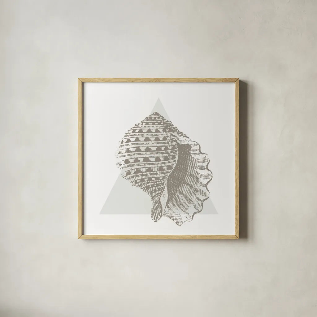 Conchology Sketches III by Wild Apple Portfolio. Shown in a natural wood glass frame for a timeless modern aesthetic. Available as an archival giclee rolled canvas, fine art paper, or poster print. SKU 45979a.