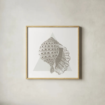 Conchology Sketches III by Wild Apple Portfolio. Shown in a natural wood glass frame for a timeless modern aesthetic. Available as an archival giclee rolled canvas, fine art paper, or poster print. SKU 45979a.