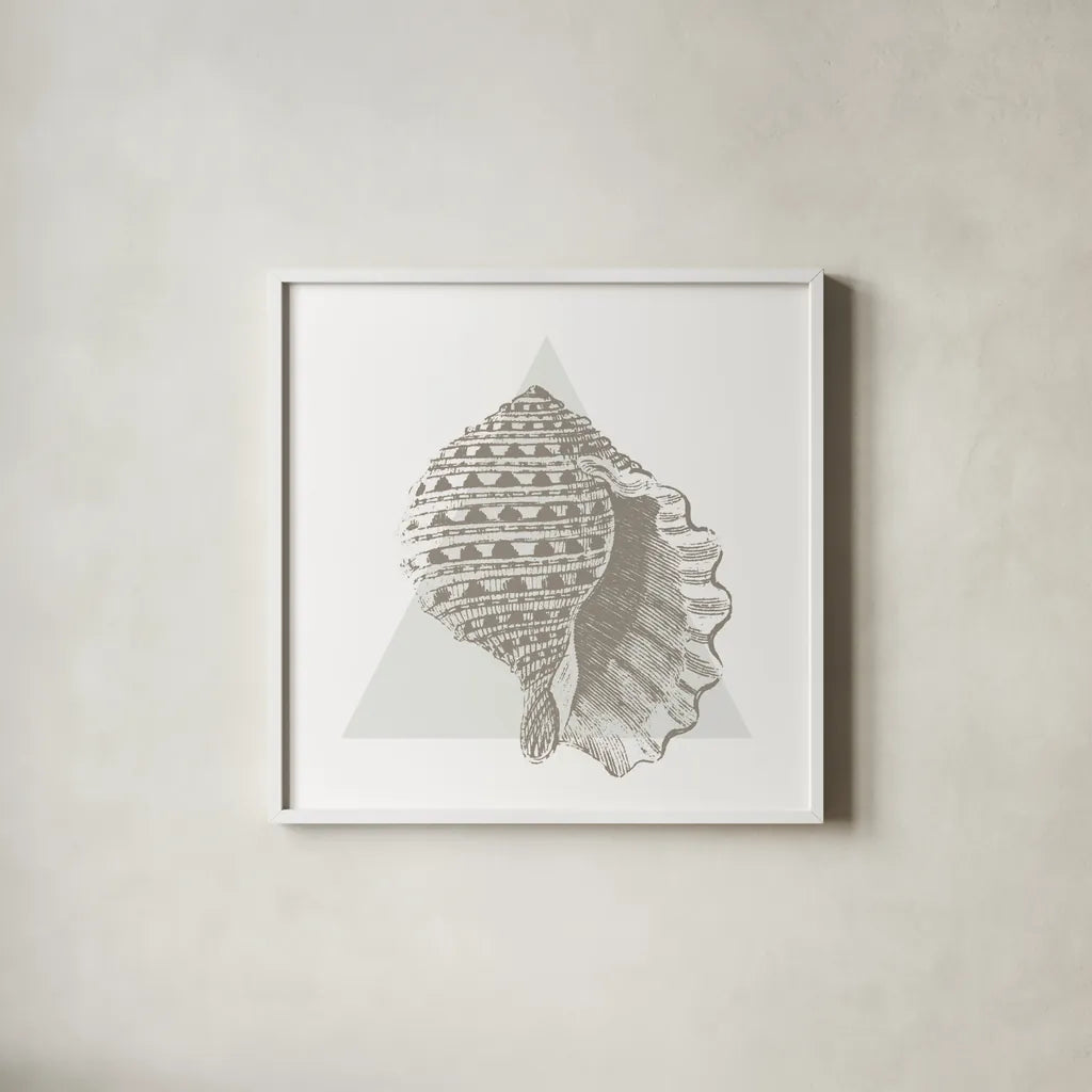 Conchology Sketches III by Wild Apple Portfolio. Shown in a crisp white glass frame for a clean and minimalist style. Available as an archival giclee rolled canvas, fine art paper, or poster print. SKU 45979a.