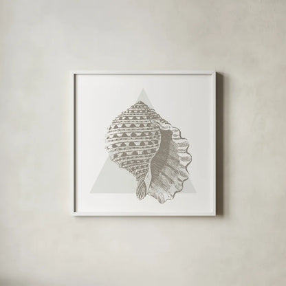 Conchology Sketches III by Wild Apple Portfolio. Shown in a crisp white glass frame for a clean and minimalist style. Available as an archival giclee rolled canvas, fine art paper, or poster print. SKU 45979a.