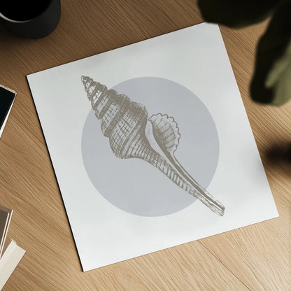 Conchology Sketches IV by Wild Apple Portfolio. Shown as a detailed flat fine art print, highlighting archival giclee quality. Available as an archival giclee rolled canvas, fine art paper, or poster print. SKU 45980a.