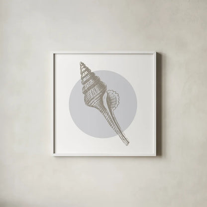 Conchology Sketches IV by Wild Apple Portfolio. Shown in a crisp white glass frame for a clean and minimalist style. Available as an archival giclee rolled canvas, fine art paper, or poster print. SKU 45980a.