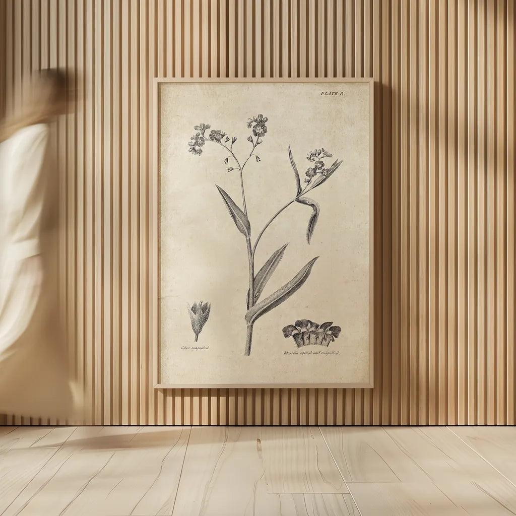 Conversations on  Botany 01 by Wild Apple Portfolio. shown as over sized large wall art. Available as an archival giclee rolled canvas, fine art paper, or poster print. SKU 39014h.