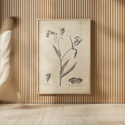 Conversations on  Botany 01 by Wild Apple Portfolio. shown as over sized large wall art. Available as an archival giclee rolled canvas, fine art paper, or poster print. SKU 39014h.