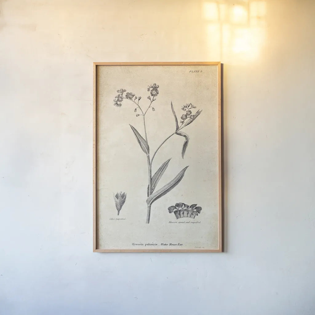 Conversations on  Botany 01 by Wild Apple Portfolio. shown as a paper print in a natural frame. Available as a archival giclee rolled canvas, fine art paper, or poster print. SKU 39014h.