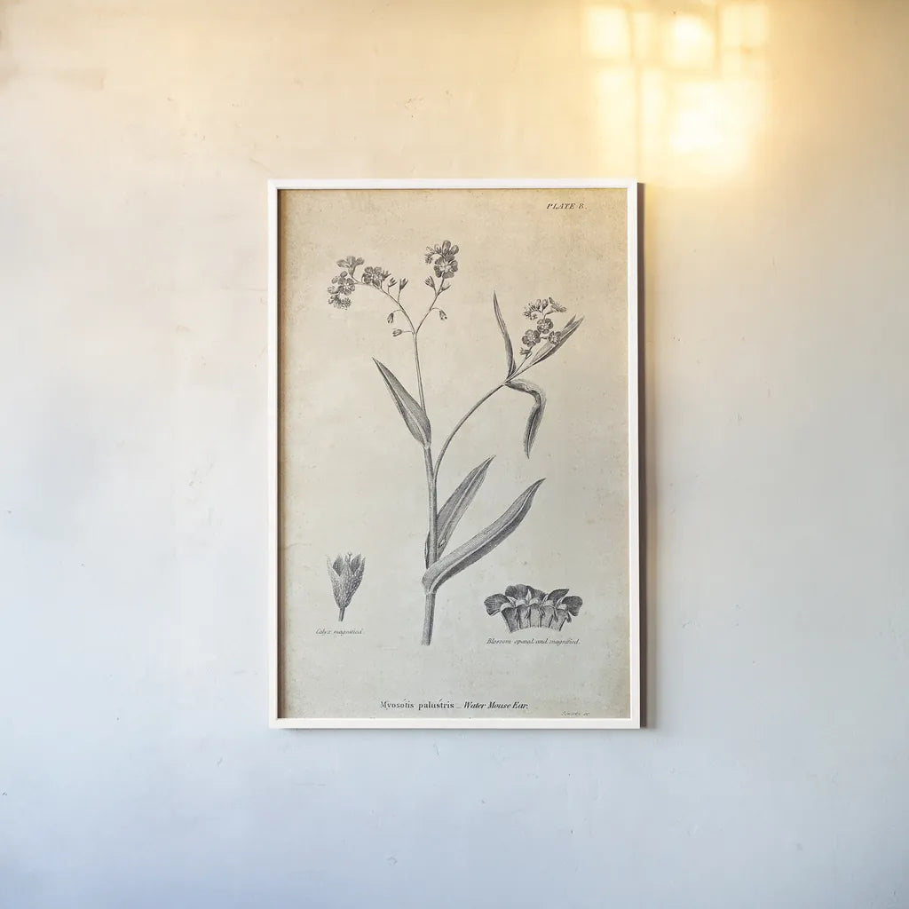 Conversations on  Botany 01 by Wild Apple Portfolio. shown as a paper print in a white frame. Available as a archival giclee rolled canvas, fine art paper, or poster print. SKU 39014h.