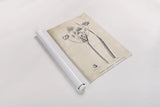 Conversations on  Botany 02 by Wild Apple Portfolio. shown as a rolled paper print. Available as archival giclee rolled canvas, fine art paper, or poster print. SKU 39015h.