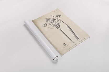 Conversations on  Botany 02 by Wild Apple Portfolio. shown as a rolled paper print. Available as archival giclee rolled canvas, fine art paper, or poster print. SKU 39015h.