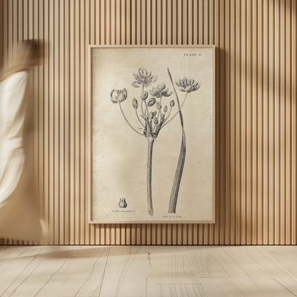 Conversations on  Botany 02 by Wild Apple Portfolio. shown as over sized large wall art. Available as an archival giclee rolled canvas, fine art paper, or poster print. SKU 39015h.