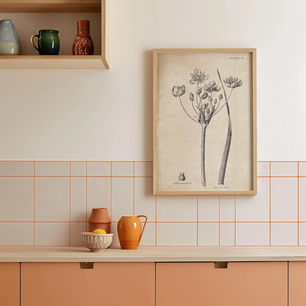 Conversations on  Botany 02 by Wild Apple Portfolio. shown as retro kitchen wall art in a natural wood frame. Available as an archival giclee rolled canvas, fine art paper, or poster print. SKU 39015h.