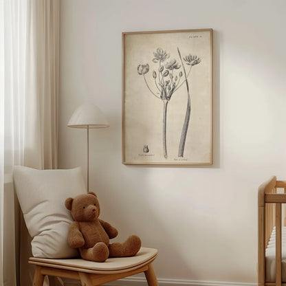 Conversations on  Botany 02 by Wild Apple Portfolio. shown as wall art in a children's nursery room. Available as an archival giclee rolled canvas, fine art paper, or poster print. SKU 39015h.