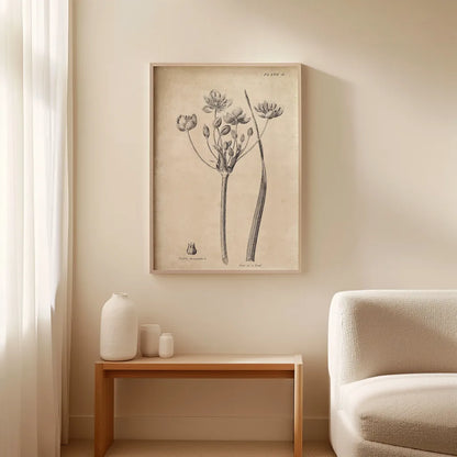Conversations on  Botany 02 by Wild Apple Portfolio. shown as wall art above a bench in a living room. Available as an archival giclee rolled canvas, fine art paper, or poster print. SKU 39015h.