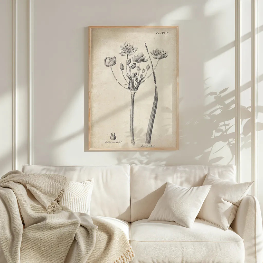 Conversations on  Botany 02 by Wild Apple Portfolio. shown as a framed natural wood wall art in a living room with a linen couch. Available as an archival giclee rolled canvas, fine art paper, or poster print. SKU 39015h.