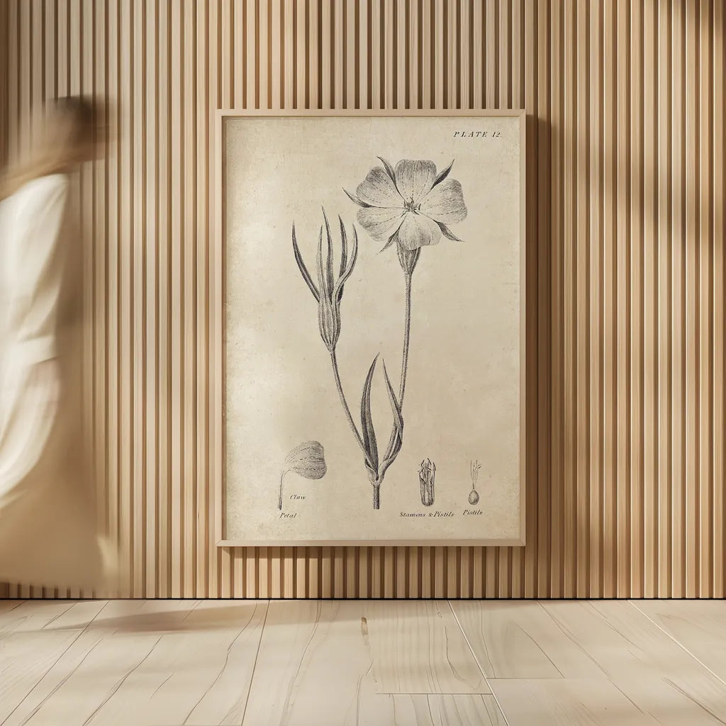 Conversations on  Botany 03 by Wild Apple Portfolio. shown as over sized large wall art. Available as an archival giclee rolled canvas, fine art paper, or poster print. SKU 39016h.