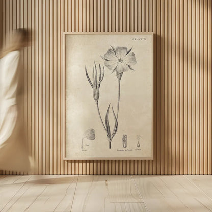 Conversations on  Botany 03 by Wild Apple Portfolio. shown as over sized large wall art. Available as an archival giclee rolled canvas, fine art paper, or poster print. SKU 39016h.