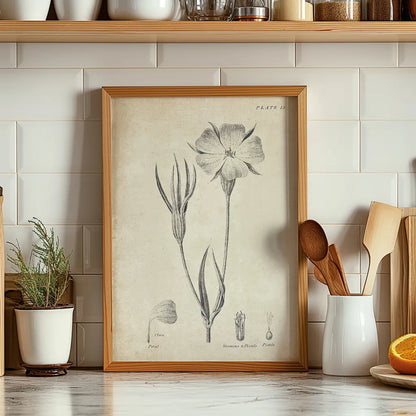 Conversations on  Botany 03 by Wild Apple Portfolio. shown as wood framed print leaning on a kitchen counter, offering a casual yet modern style. Available as an archival giclee rolled canvas, fine art paper, or poster print. SKU 39016h.