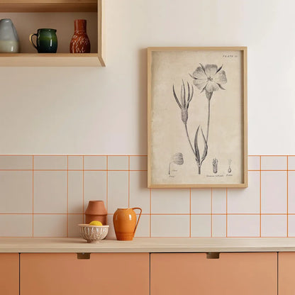 Conversations on  Botany 03 by Wild Apple Portfolio. shown as retro kitchen wall art in a natural wood frame. Available as an archival giclee rolled canvas, fine art paper, or poster print. SKU 39016h.