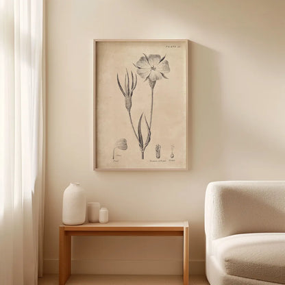 Conversations on  Botany 03 by Wild Apple Portfolio. shown as wall art above a bench in a living room. Available as an archival giclee rolled canvas, fine art paper, or poster print. SKU 39016h.