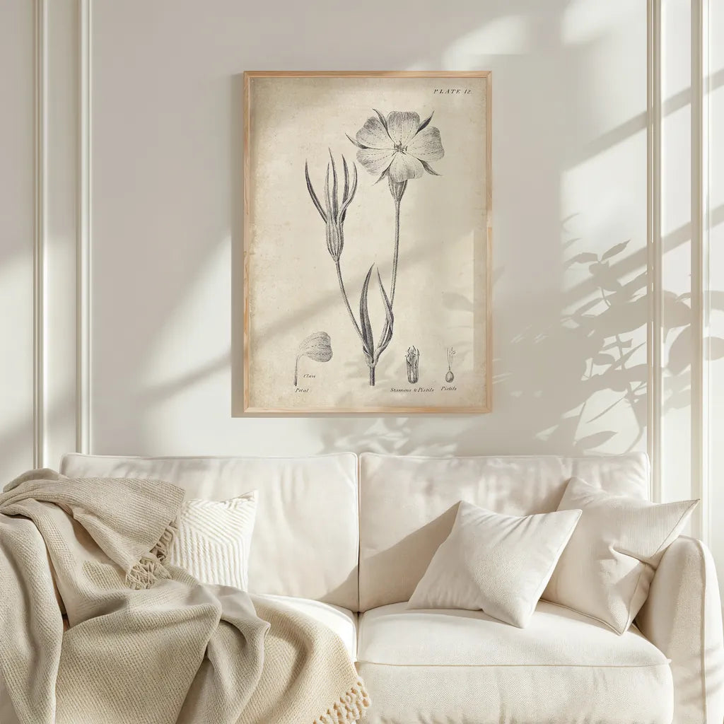 Conversations on  Botany 03 by Wild Apple Portfolio. shown as a framed natural wood wall art in a living room with a linen couch. Available as an archival giclee rolled canvas, fine art paper, or poster print. SKU 39016h.