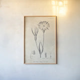 Conversations on  Botany 03 by Wild Apple Portfolio. shown as a paper print in a natural frame. Available as a archival giclee rolled canvas, fine art paper, or poster print. SKU 39016h.